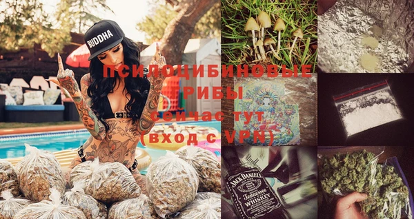 эйфоретик Аркадак