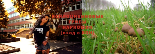 эйфоретик Аркадак