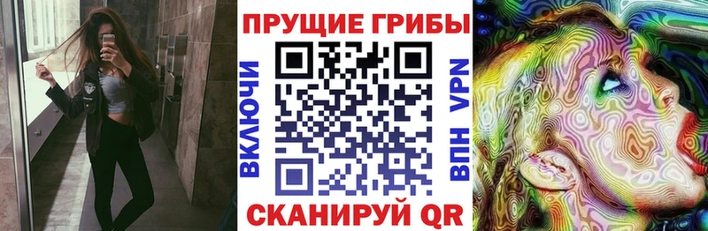 Псилоцибиновые грибы мухоморы  что такое   МЕГА онион  Североморск 